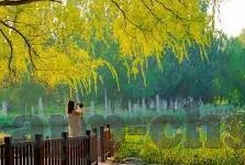 开云体育官方登录网页-体验卓越，尽在掌握——开云体育官方登录网页的科技之旅